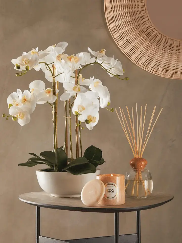 Unsere Flash Sale Favoriten