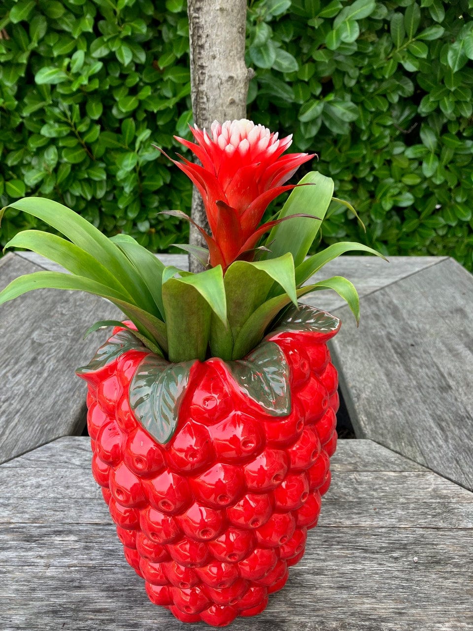 Italiving Keramikvase Dekovase in Form einer Himbeere - glasierte Keramik H 26,5 cm Ø 21 cm rot