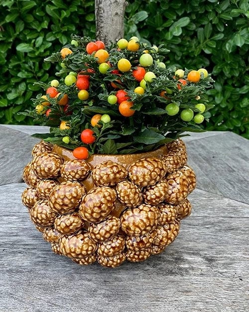 Italiving Keramikvase Designervase mit Pinienzapfen - glasierte Keramik Höhe 18 cm Ø 24 cm