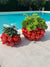 Italiving Keramikvase Designervase neu aus Italien mit roten Tomaten besetzt in 2 Größen
