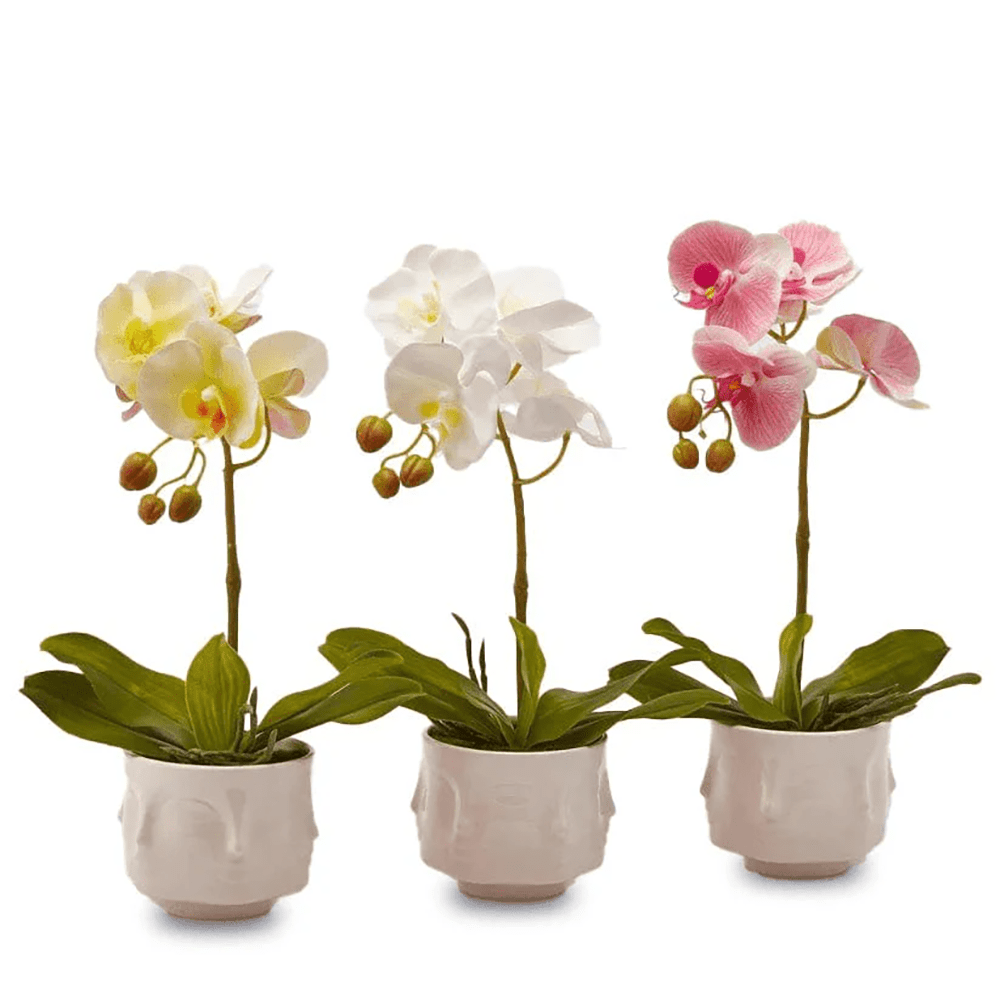 Italiving Keramikvase Naturgetreue Orchideen H 40 cm in 3 Farben in Vase - nie mehr gießen!