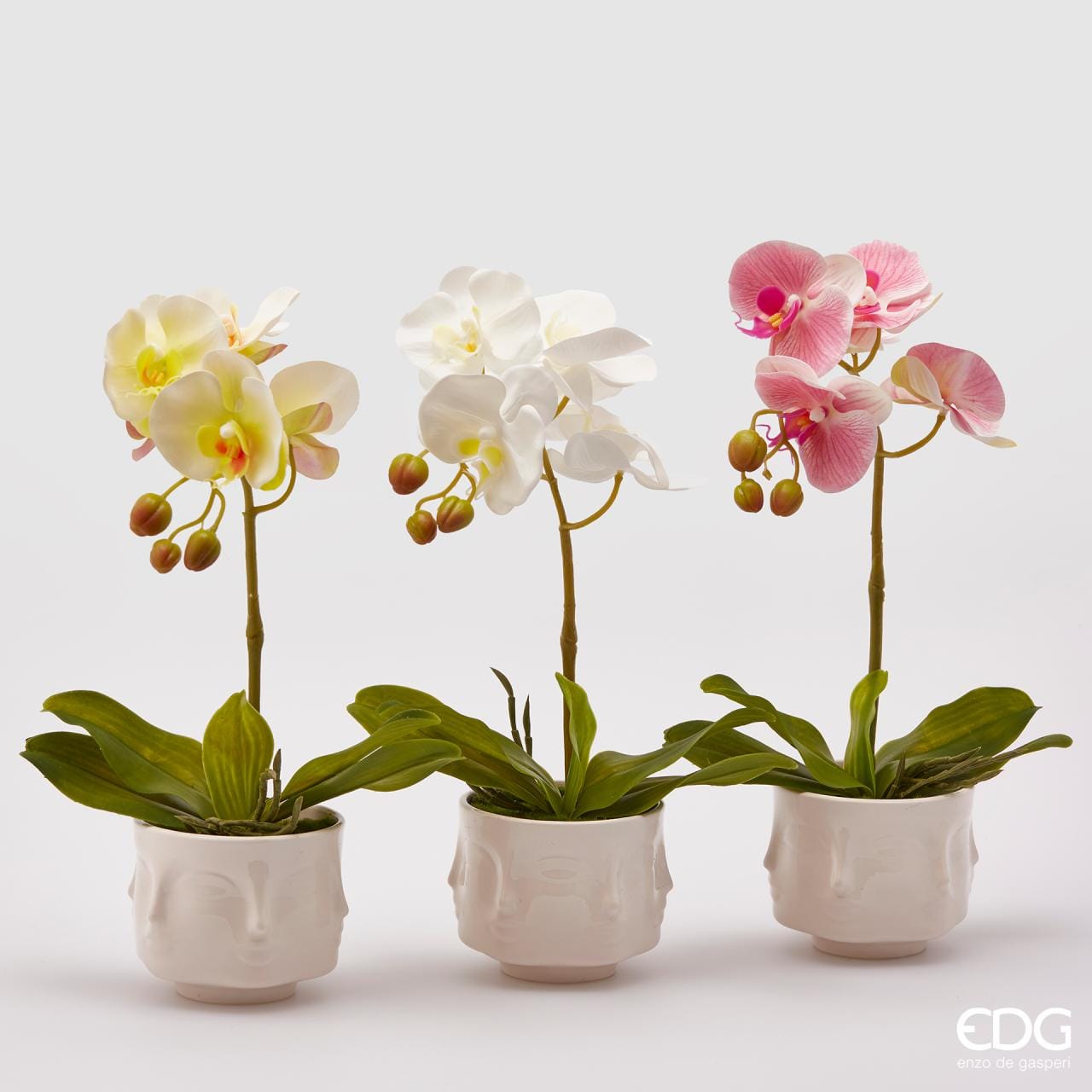 Italiving Blumen Naturgetreue Orchideen in 3 Farben im Keramiktopf - nie mehr gießen!