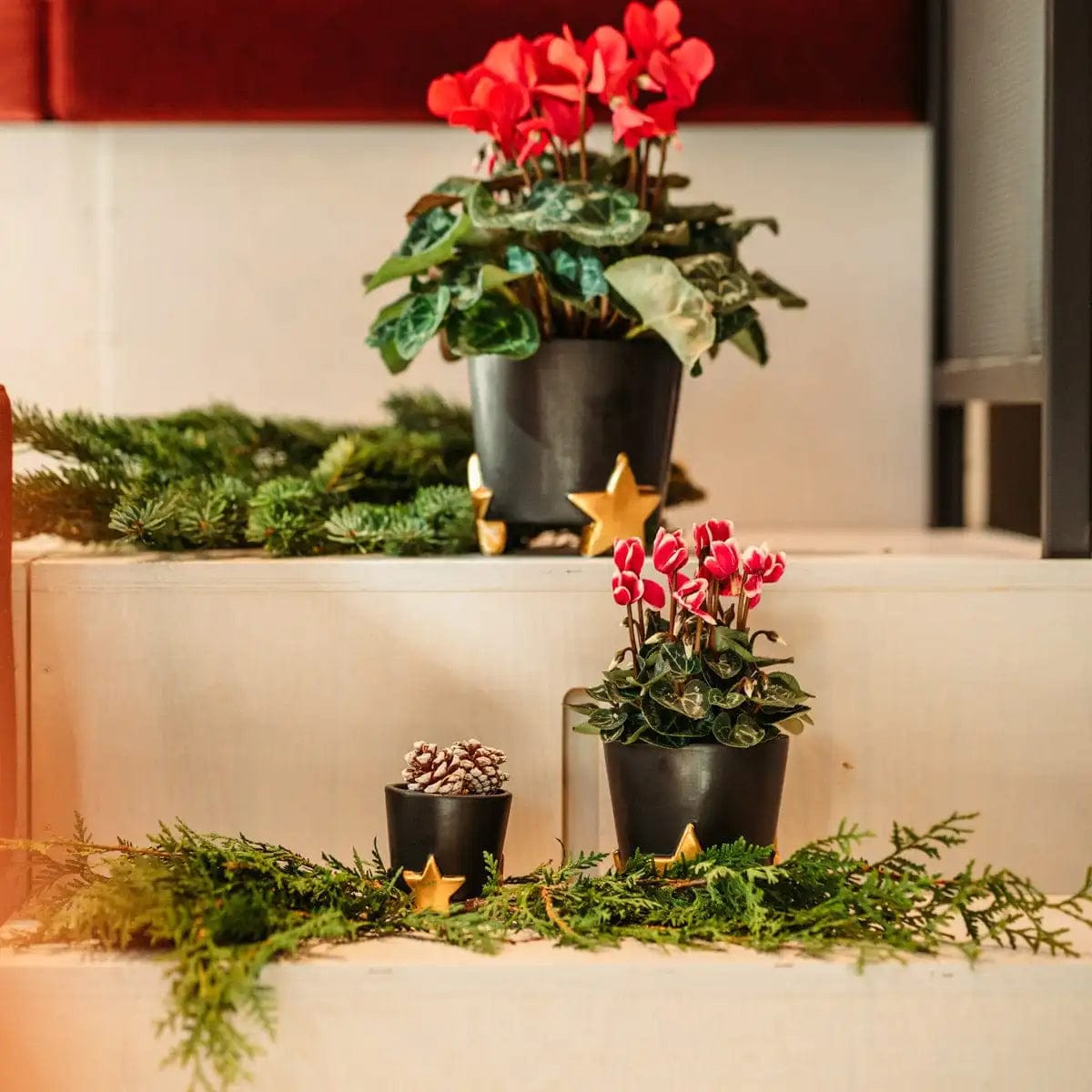 Italiving Keramikübertöpfe 3er-Set Übertöpfe Weihnachtsstern - Keramik 3 Größen und 2 Farben