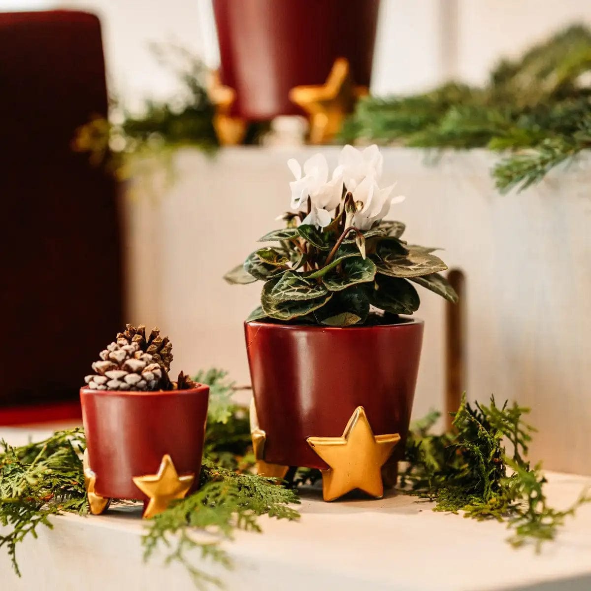 Italiving Keramikübertöpfe 3er-Set Übertöpfe Weihnachtsstern - Keramik 3 Größen und 2 Farben