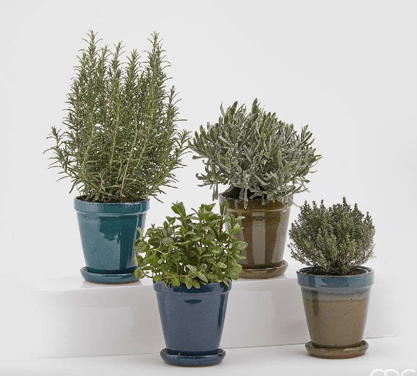 Italiving Keramikübertöpfe Olive Mediterraner Blumentopf mit Untersetzer - 4 Farben H 25 cm Ø 22 cm