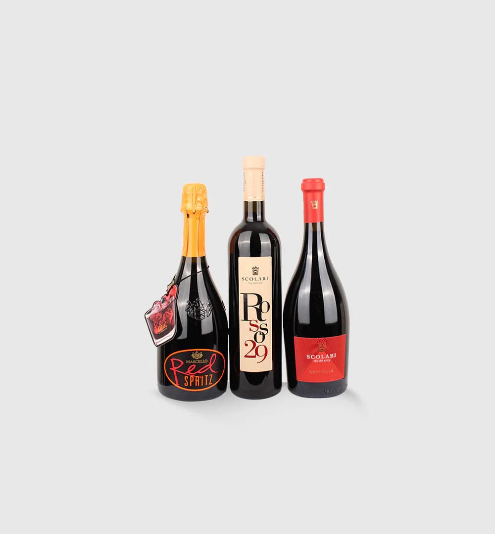 Italiving Lambrusco Red Spritz, Gropello, Rosso29 Die rote Verführung aus Italien -Degustationspaket Weine