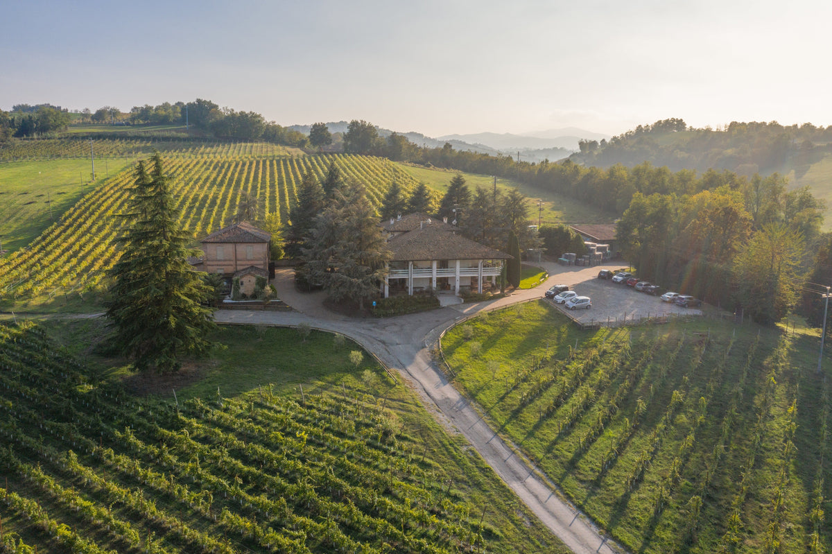 Italiving Lambrusco und und Lambrusco rosé und Malvasia 3er-Set Marcello Millesimato, Sinestesi Millesimato, Forte Rigoni von Ariola