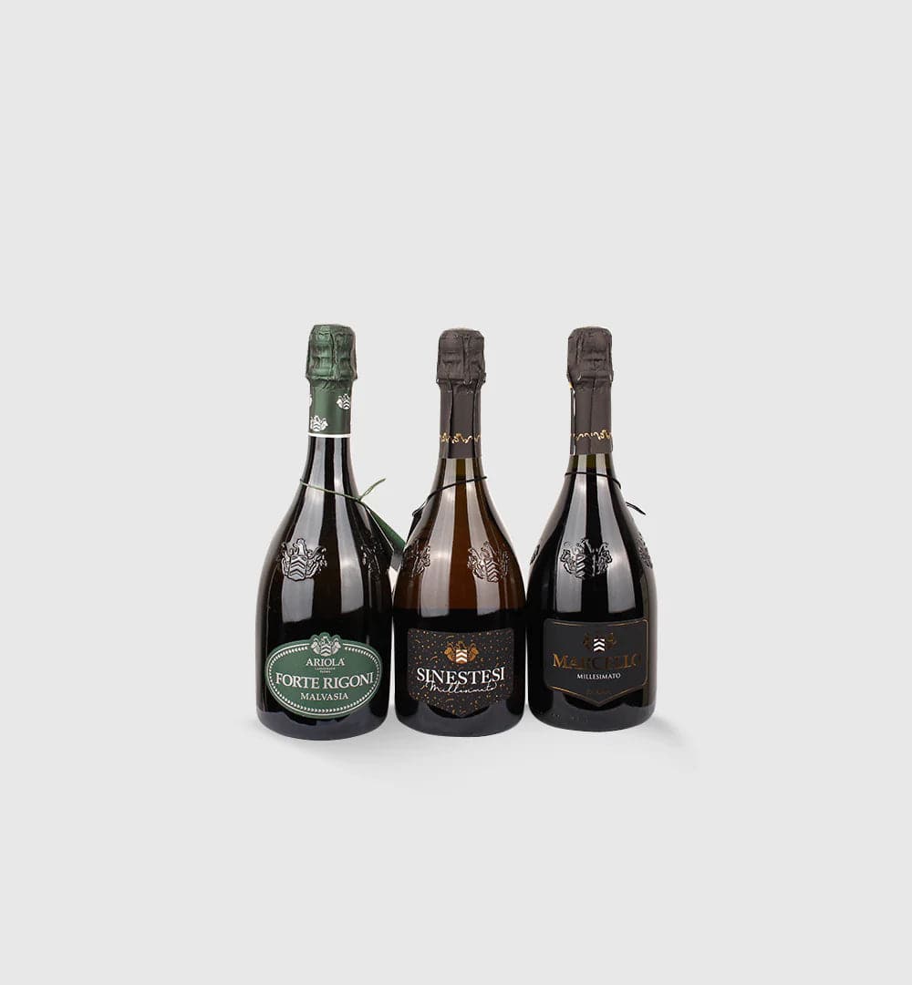 Italiving Malvasia Forte Regioni, Lambrusco Rosé Sinsestesi, Lambrusco Rot Marcello Weiss-Rosé-Rot Schaumweine für's Frühjahr