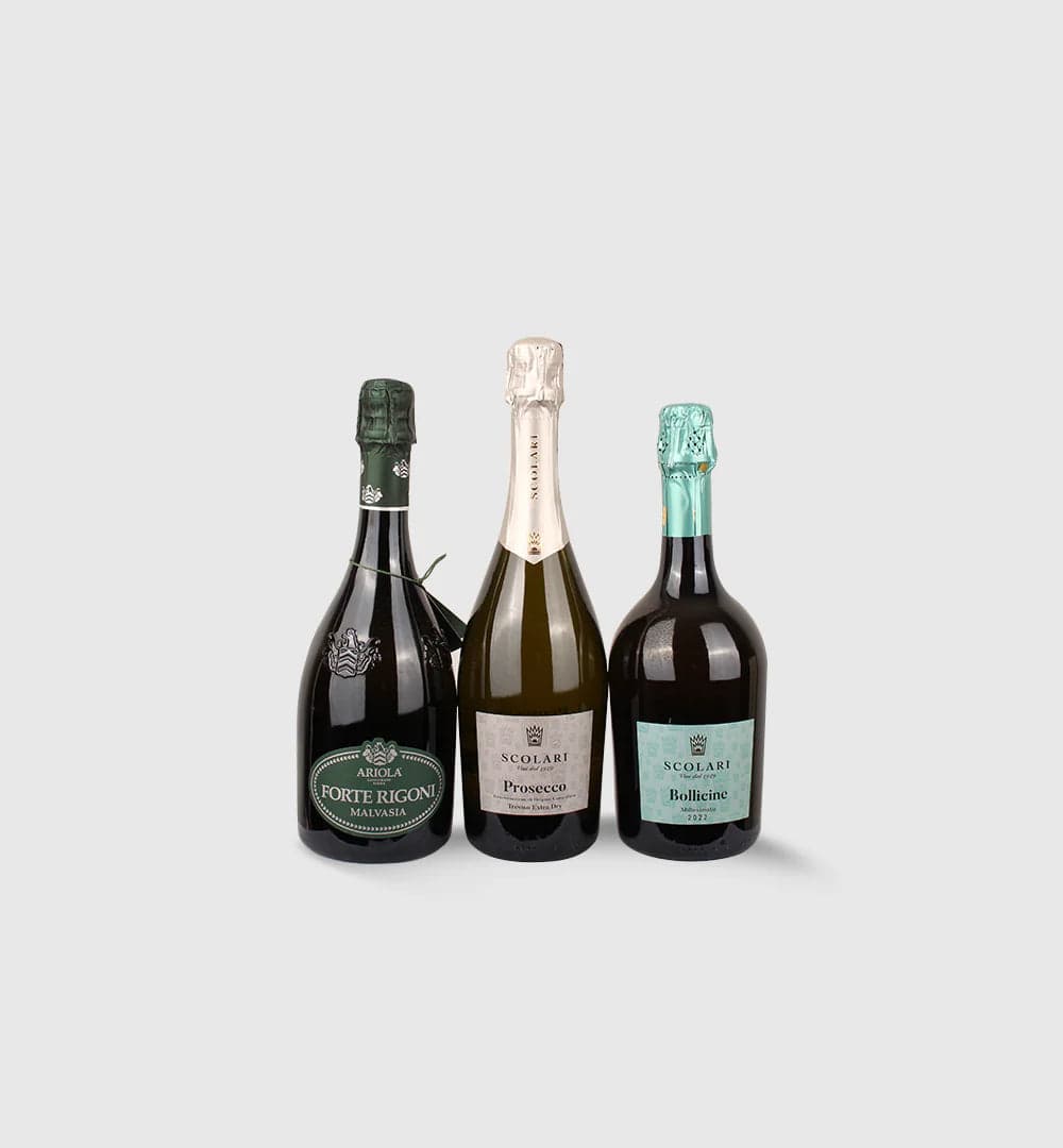 Italiving Malvasia Forte Regioni, Prosecco DOC, Bollicine Cuvée Degustationspaket Schaumweine für den Ostersonntag