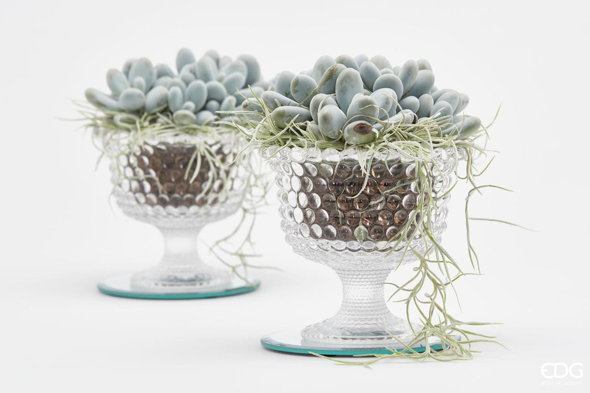 Italiving Schale Dessertschale mit Fuss aus Kristallglas - Höhe 12 cm Ø 13 cm