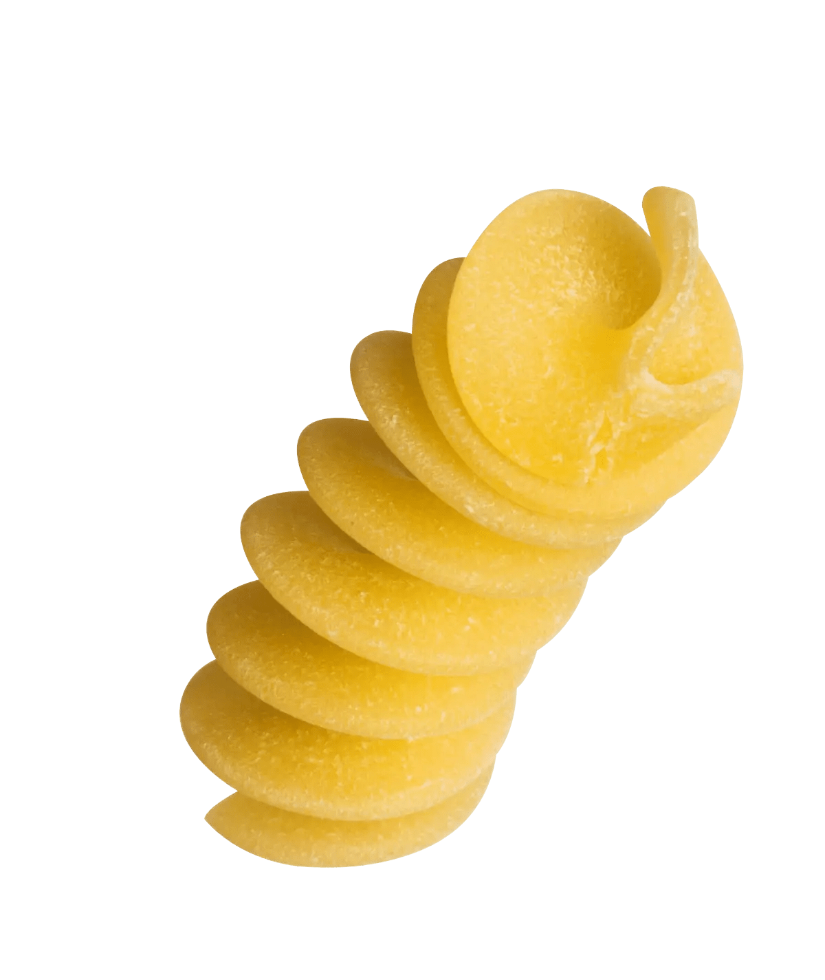 Pasta-Bio-Fusilloni