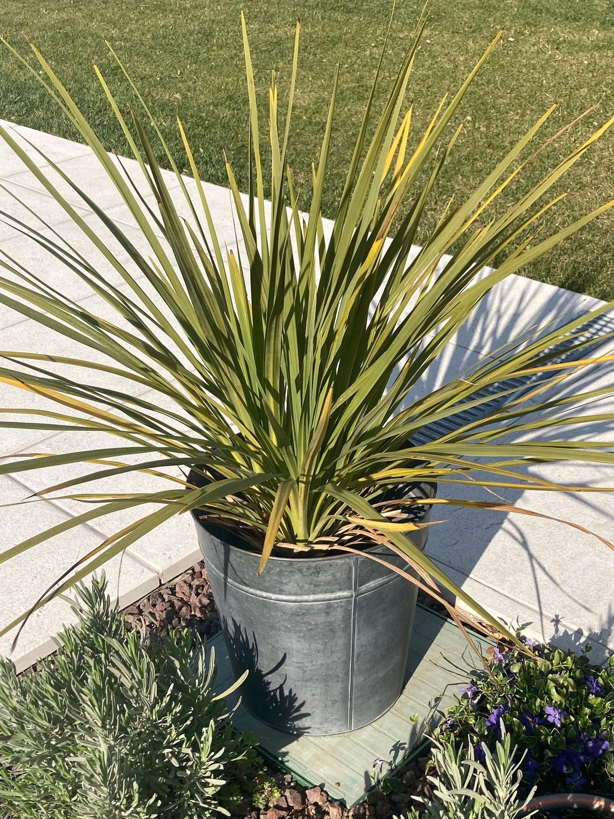 Italiving Übertöpfe Pflanzkübel - Metall grau Höhe 35 cm frostsicherer Eimer für Deko